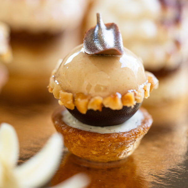 Velours de Noisette
